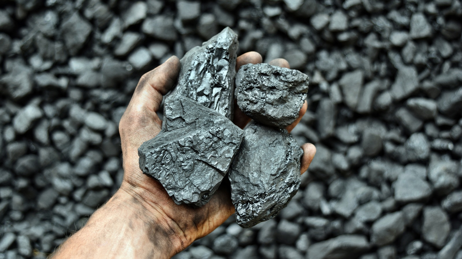 High Calorific Value Coal